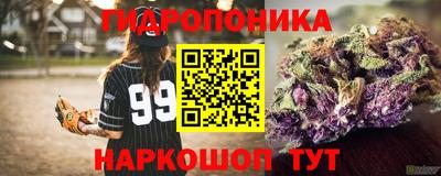 таблы Кингисепп