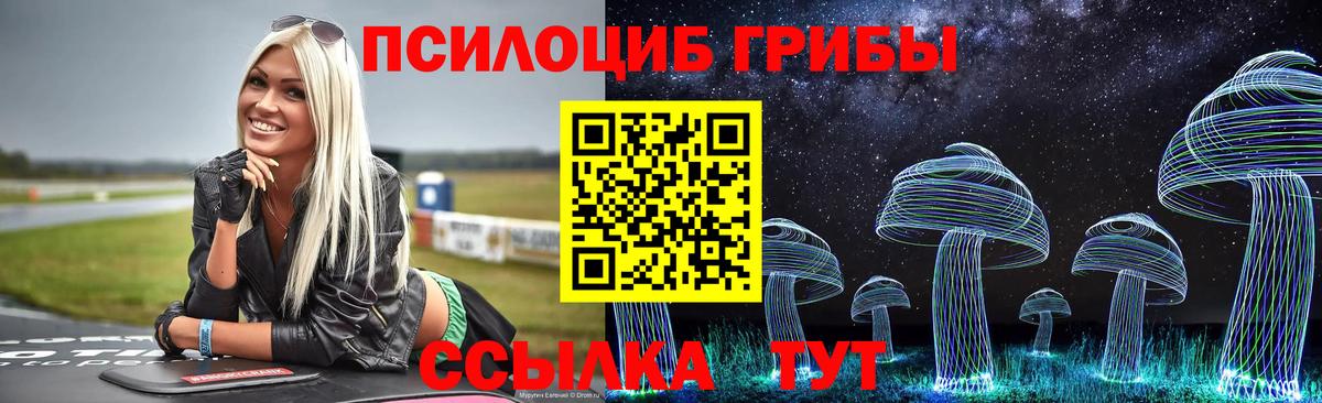 Галлюциногенные грибы Psilocybe Комсомольск-на-Амуре